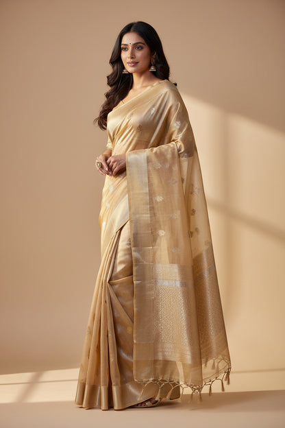 Brown Pure Tissue saree