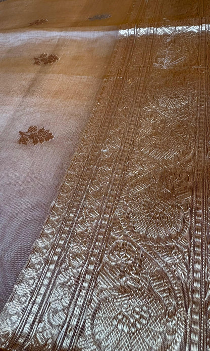 Brown Pure Tissue saree