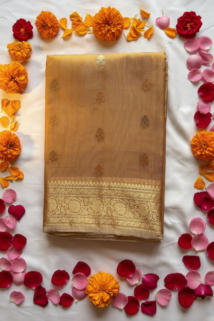 Brown Pure Tissue saree