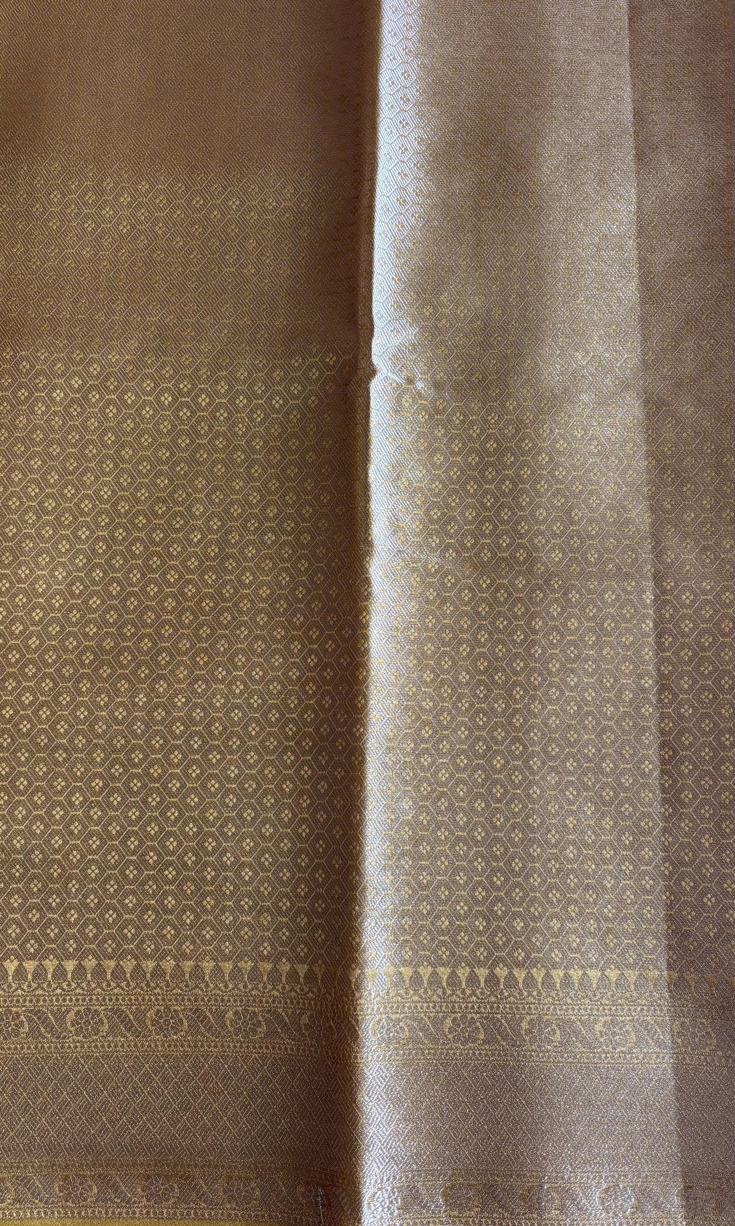 Golden Tissue Saree