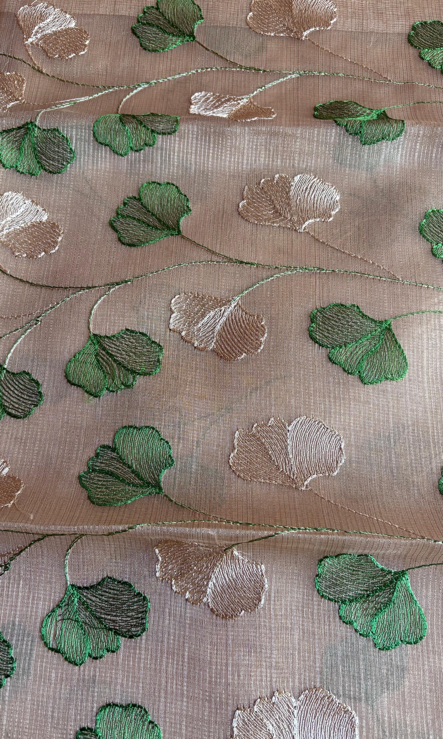 Beige Tissue Saree