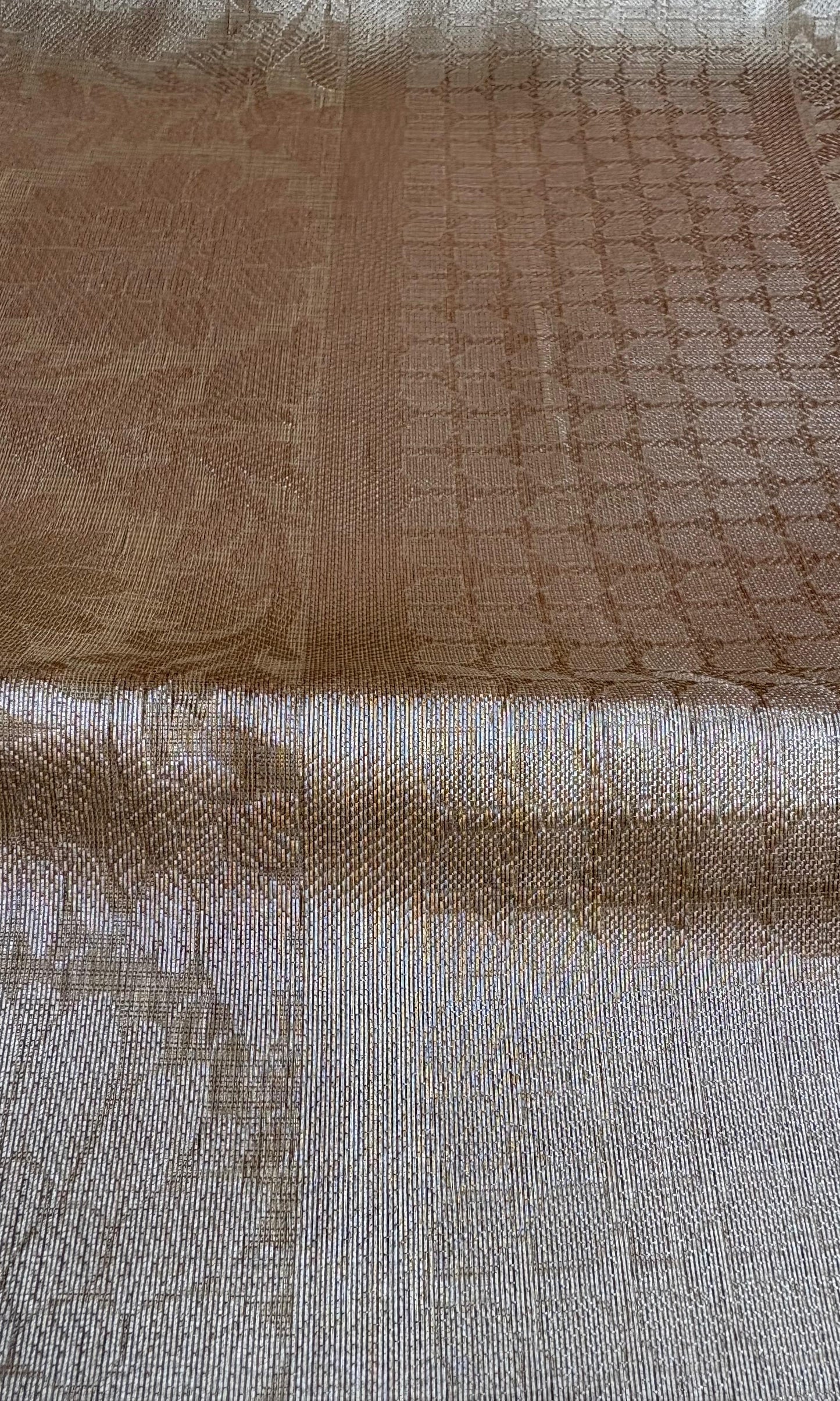 Beige Tissue Saree