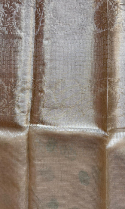 Beige Tissue Saree