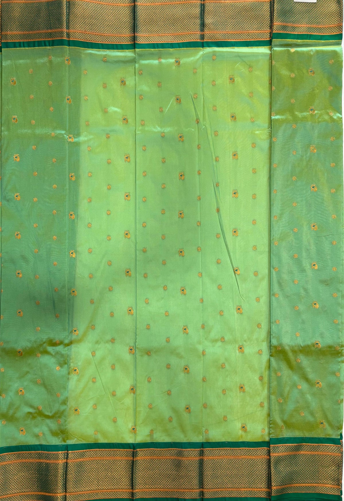 Parrot Green Paithani